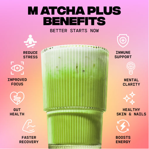 30-servings-of-mushroom-matcha-free-starter-kit-p5 1_e8b56491-7cb2-472e-ac2c-4f42e819f02f.jpg