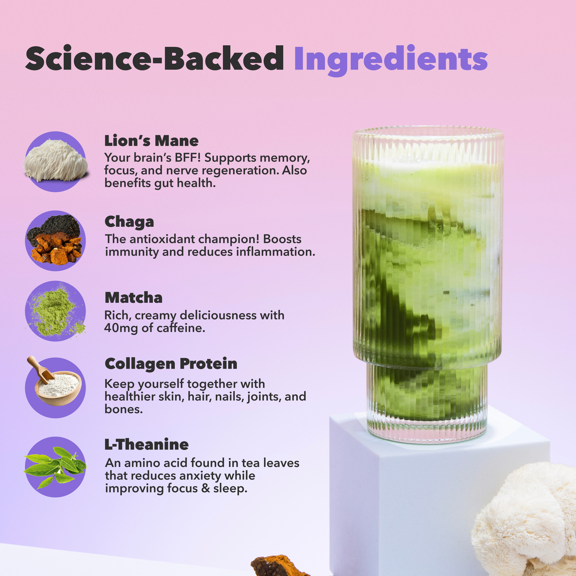 30-servings-mushroom-matcha-f8 custom_resized_386f63f8-0691-449c-9e51-462fed6c0033.png